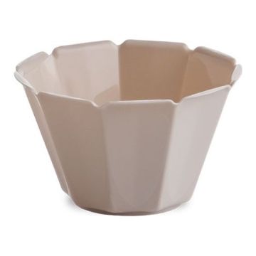 Reusable PP bowl for ice cream