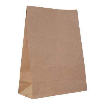 Torba papierowa klockowa 250x110x320 bez wycięcia, op. 250 sztuk