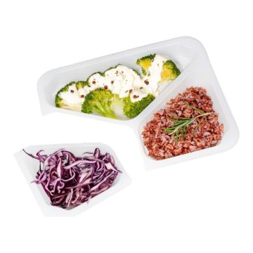 T T 227/178/3 H4 GWP sealing container 50pcs height 4cm frosted, tripartite, smooth TnP (k/8) reusable