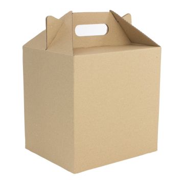 Pudełko z uchwytem DIETA BOX na pojemniki obiadowe, 190x230x230/305mm, opakowanie 50szt