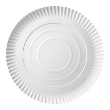 Talerz papierowy TnP biały 26 cm gramatura 320g, cena za 100 sztuk