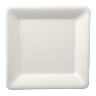 Talerz z trzciny cukrowej kwadrat 16x16 cm, biały, opakowanie 50szt (k/10)