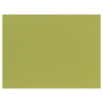 Table mats 30x40 100 pcs, olive