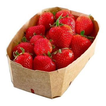 O. FP500 pojemniki na owoce Kraft 500g op.300szt, z tektury