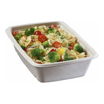 Container BePulp RC23 23x16x6cm
