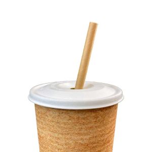 Lid 90mm, made of pulp with a hole, 50 pcs. biodegradable (k / 20), 300-500ml