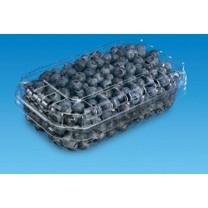 O. F-250 rPET fruit container 125g, 2300pcs, F-250/I-29