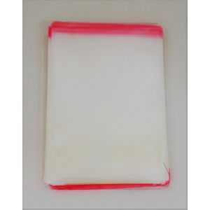 PPZ bags with adhesive flap 20x30, 200 pcs.