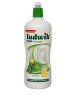 LUDWIK Diskmedel 900 ml MINT (12)