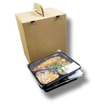 Pudełko z uchwytem składanym na płasko DIETA BOX na pojemniki obiadowe, 190x230x285mm op. 50 sztuk