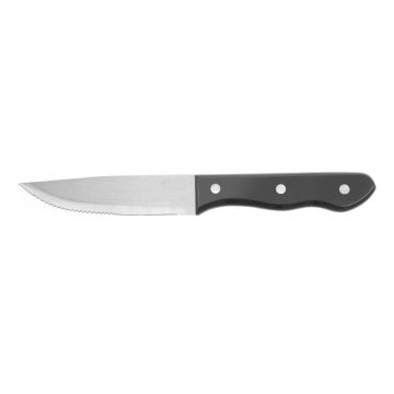 Steak Knife 250 Mm