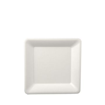 Talerz z trzciny cukrowej kwadrat 16x16 cm, biały, opakowanie 50szt (k/10)
