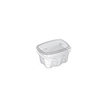 Container transparent+cover, 30pcs 140x109mm 500ml (16)