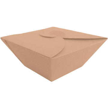 BIO FOOD BOX 1000ml brown pkg.50pcs 17x17cm, biodegradable (k/4) SALAD BOX TnG