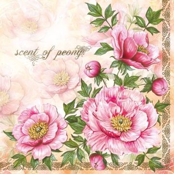 Serwetki 33x33 MAKI OGÓLNE PIWONIE 0207 01 Scent of Peony op. 20 sztuk