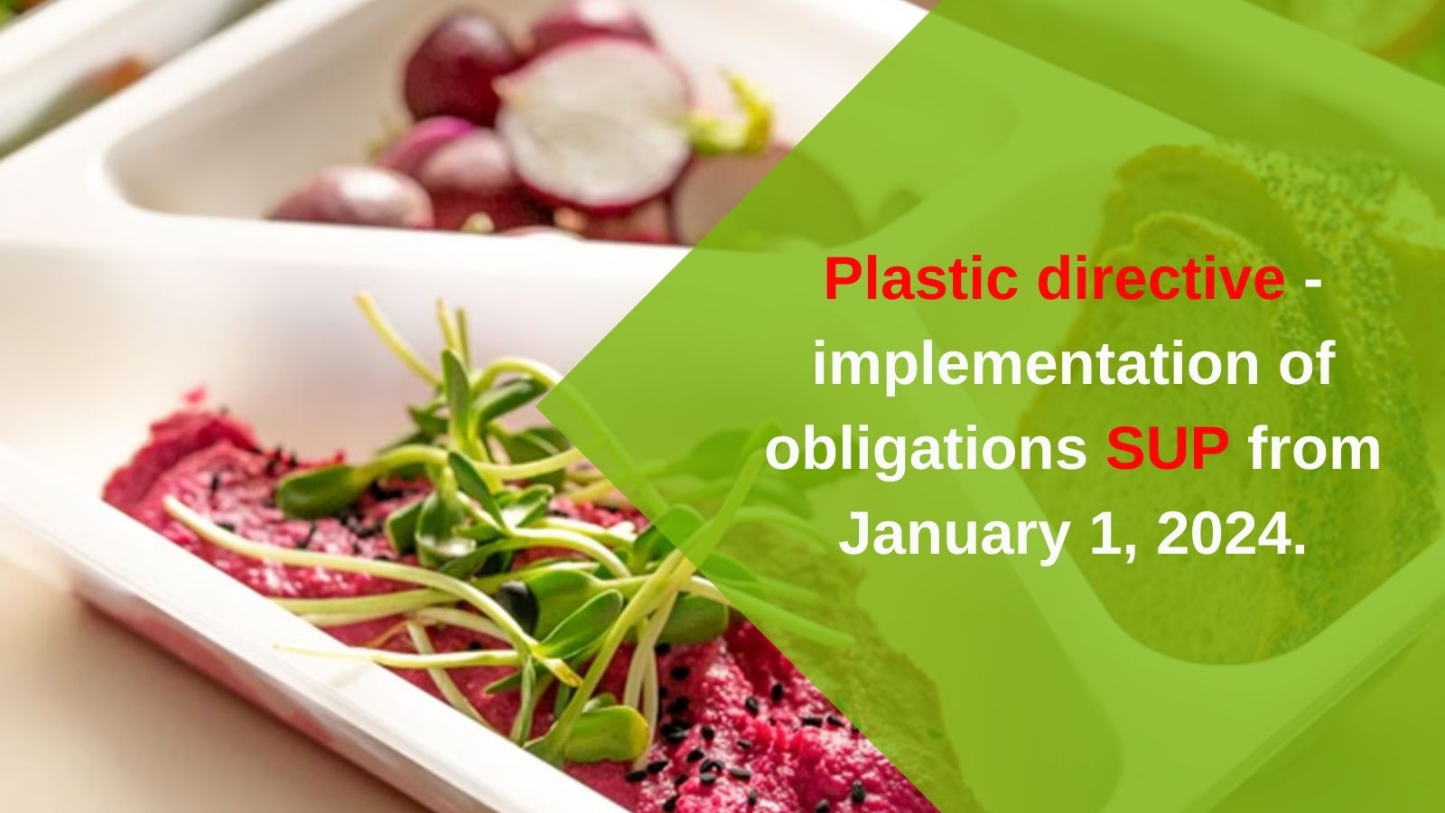 Plastic directive - implementation of obligations from January 1, 2024.